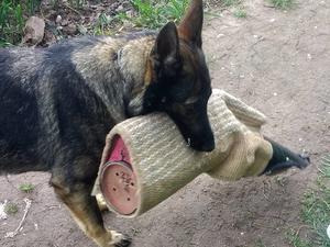 Villa Re-Star of Reinhund