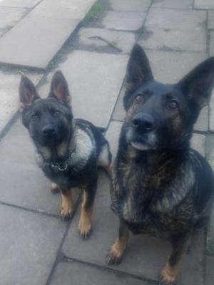 Villa Re-Star of Reinhund