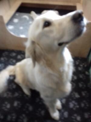 Mum Beautiful Inca