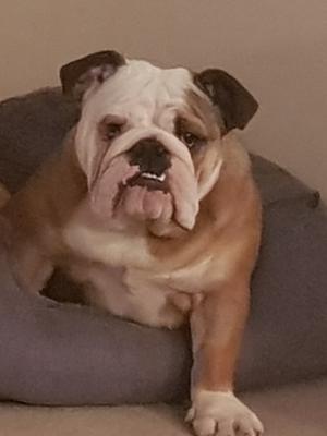 Mum Poppy