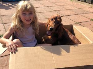 At home with Fernstart Galway Girl