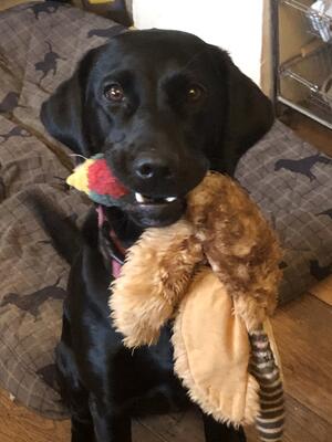 Flora with Donald the Pheasant