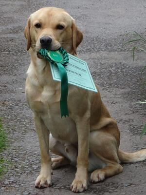 Another winning performance!