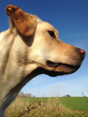 Bree Eightie - profile