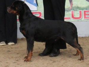 Marnie winning best in show