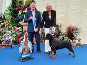 Cassie winning Group 2 at Blackpool Ch show 2022