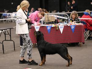 Heidi winning her 3rd RCC