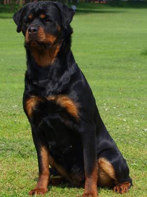 My beautiful Robynne at 2 years old