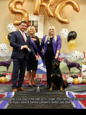 Brooke winning Scottish pup of the year 2015