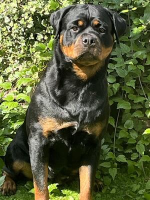 Nina 2 years old