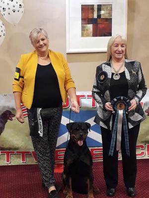 Ch Seittor jitterbug JW ShCM winning Reserve DOTY