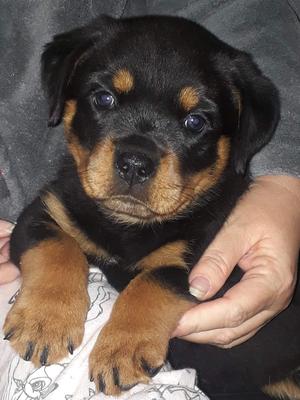 Baby Libby at 6 weeks