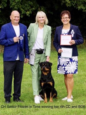 Cassie winning her 4th CC and Best of breed