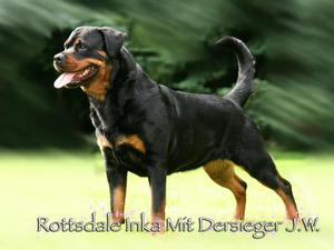 Rottsdale Diva Mit Dersieger JW