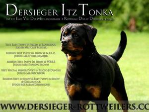Dersieger Itz Tonka
