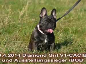 Dersieger's Diamond Girl