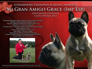 LUX CH & IR CH Mi Gran Amigo Grace (Imp Esp)