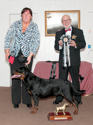 Inka Wins Best Yearling & BOS