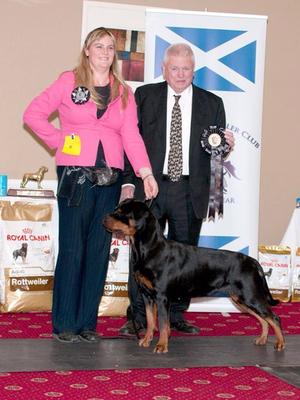 Dersieger Rottweilers