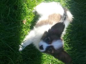 Will you play with me