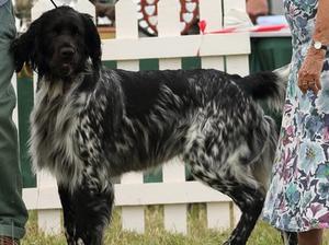 Brian LMC Champ Show Jul 2016