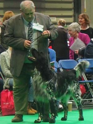 Brian Crufts 2018