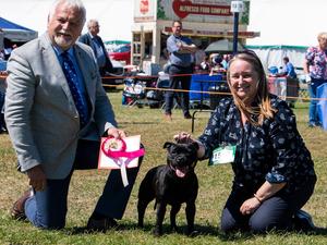 Beckash Black Ice CC and Terrier Group 1