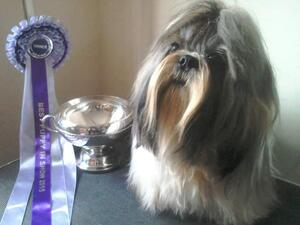 Best Puppy in Show