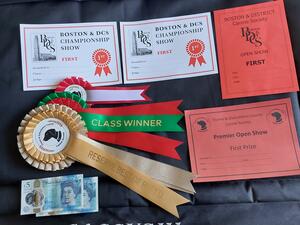 Fancy's winnings this week