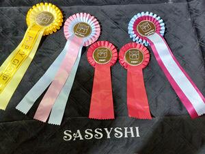 BPIB, RBOB and UPG3 & 1st AV Puppy Stakes