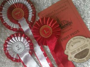 Ashford & Faversham C.S.