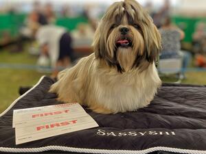 Richmond Championship Show