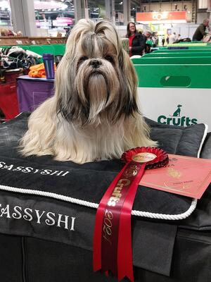 Crufts 2024