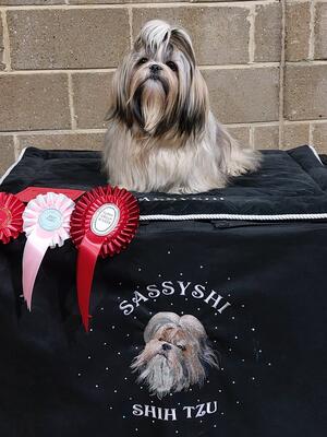 Fancy 1st Puppy, BP & Utility Group 1