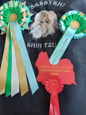 Best Puppy in Show