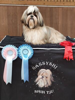 Best Puppy & UPG2