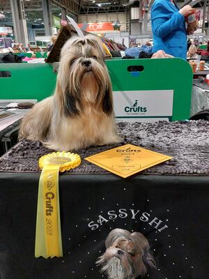 Crufts 2023