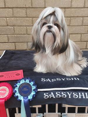 Fancy, 1st Junior & Best of Breed