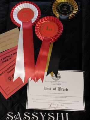 Horley and District Premier Open Show