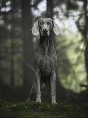 Talia out in the woods