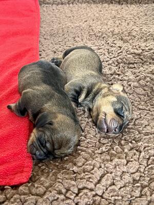 A Few Days Old