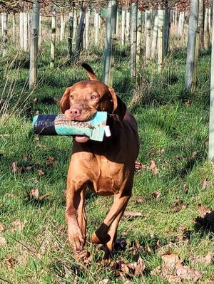 Jagger loves field training