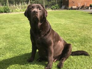 Madam Martini (Ellie)