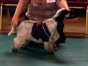 SANDLAUGA JESTER (FLORENCE)