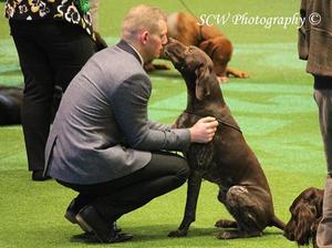 Morgan at Crufts 2016
