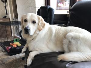 I love my settee