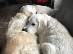 Mum &daughter