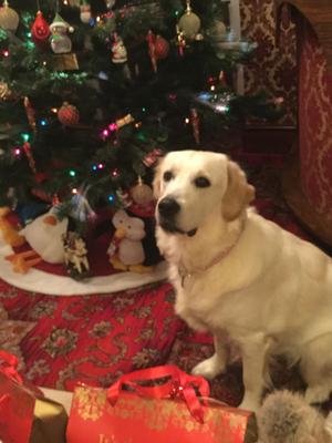 My first christmas