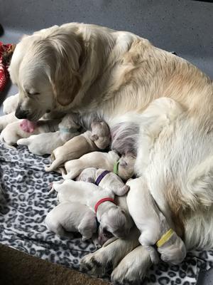 Maisy with her 6 boys and 3 girls