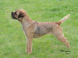 Betty at 2 Years Old